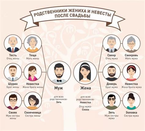 Сноха — кто это такая, что обозначает слово, в чем разница .